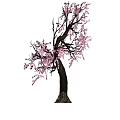 Blooming Arbor with Pink Flowers on Dark Trunk and Graceful Branches