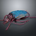 Vibrant Blue Purple Metallic Beetle With Shiny Body And Long Legs On Dark Background