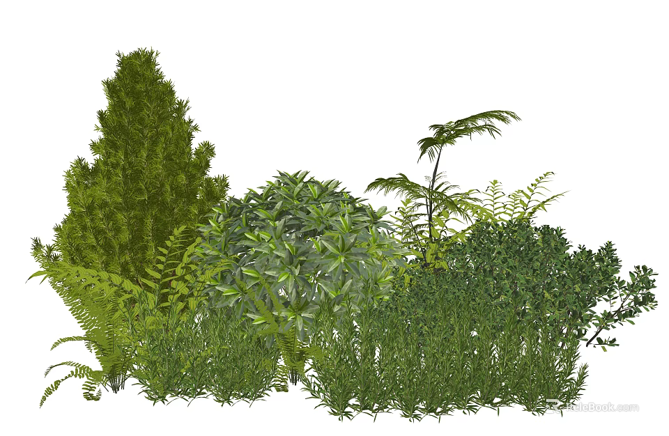 Lush Green Plant Combination with Shrubs Ferns and Conifers for Garden Design 3d model 