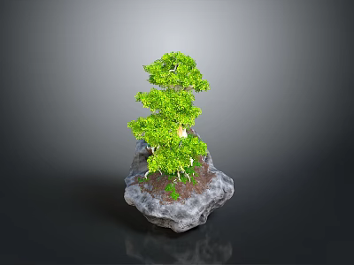 Small Green Bonsai Plant With Tree Like Foliage Growing On Gray Stone Base 3d model