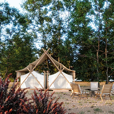Serene Garden Landscape With Glamping Tent Lush Trees Outdoor Seating And Natural Setting 3d model