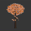Vibrant Orange Leaf Tree With Brown Trunk And Lush Foliage Against Gray Background