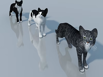 Three Cute Cats Standing On Reflective Surface With Different Fur Patterns 3d model