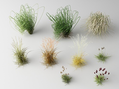 Modern Grass 3d model