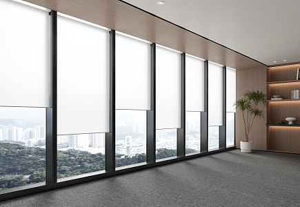 Office Curtain Wall Window Blinds Dream Curtain 3d model