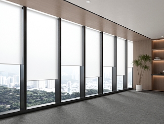 Office Curtain Wall Window Blinds Dream Curtain 3d model