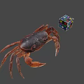 Realistic Brown Crab With Colorful Rubik's Cube On Gray Background