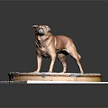 Brown Dog Standing on Circular Base With Gear and Clock Patterns 3d model