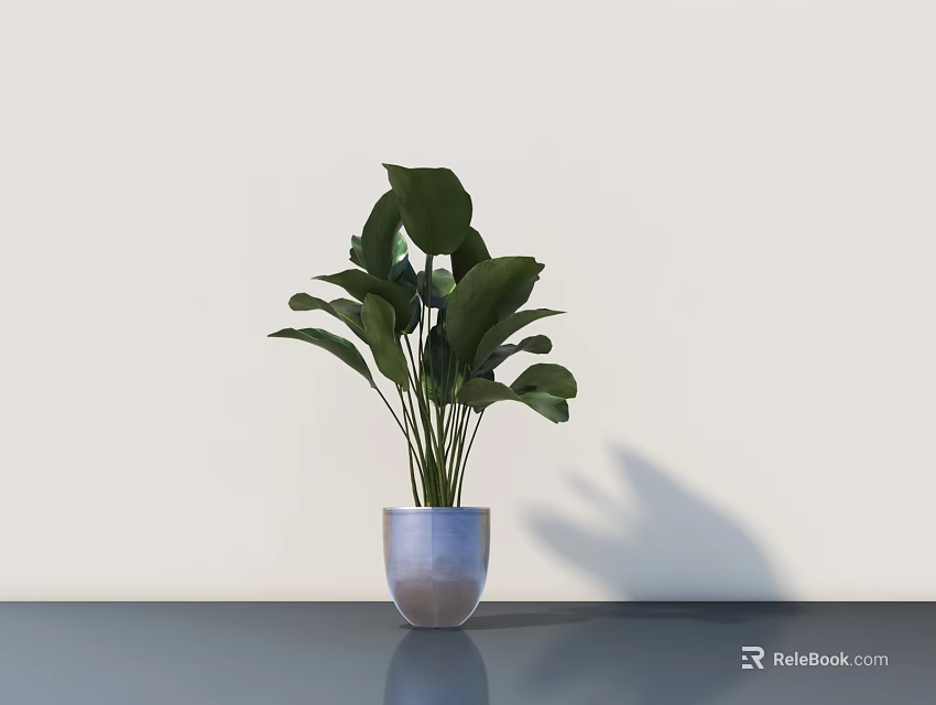 Lush Green Leaf Potted Plant In Silver Pot On Dark Tabletop 3d model 