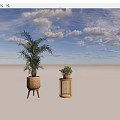 Large And Small Potted Plants In Woven Basket Planter And Rattan Side Table Stand