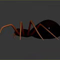 Red And Black Spider With Orange Legs 3D Model On Dark Background
