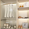 Modern Minimalist Wardrobe Interior With Hanging Clothes Drawers And Storage Shelves