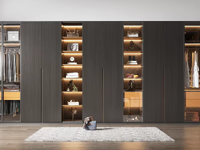 Modern Dark Wood Wardrobe With Glass Doors Built-in LED Lights And Organized Storage 3d model