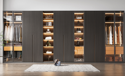 Modern wardrobe 3d model