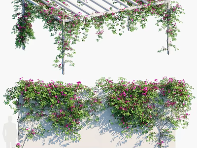 Lush Green Vines With Pink Flowers Growing On Pergola And White Wall 3d model