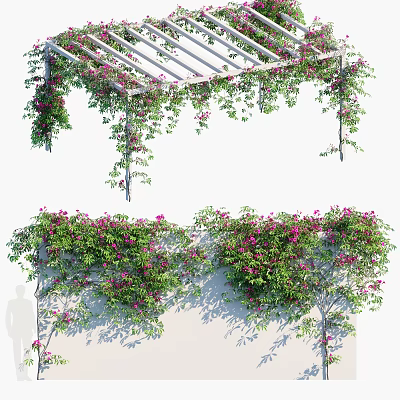 Lush Green Vines With Pink Flowers Growing On Pergola And White Wall 3d model