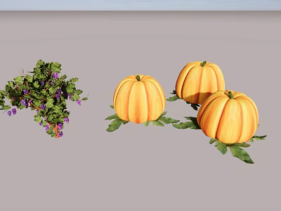 Three Ripe Pumpkins With Green Leaves And Fresh Grapevine With Purple Grapes 3d model