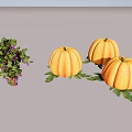 Three Ripe Pumpkins With Green Leaves And Fresh Grapevine With Purple Grapes