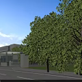 Modern Office Building Exterior With Glass Curtain Wall Lawn Driveway And Flagpoles
