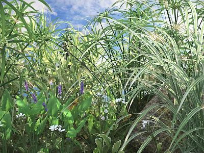 Lush Green Shrubs With Small White Purple Flowers And Feathery Grass Under Blue Sky 3d model