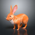 3D Model Orange Rabbit with Long Pink Ears White Belly on Black Background with Reflection