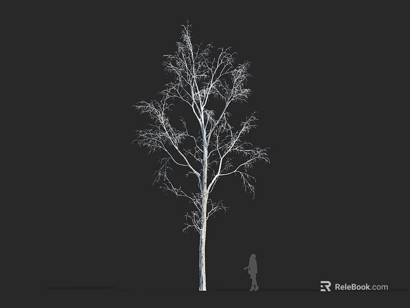 Leafless Tree With White Trunk And Branches On Black Background With Small Human Silhouette 3d model 