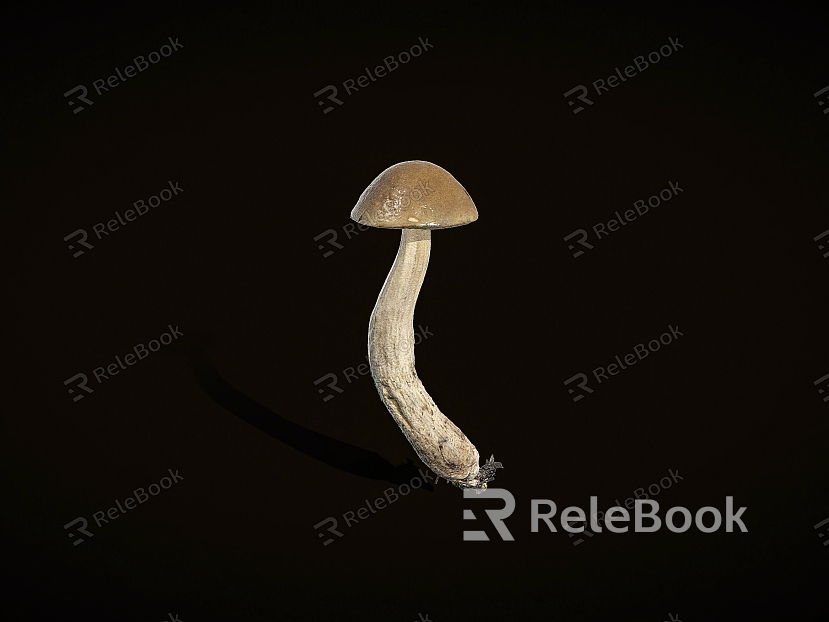 Vegetables Mushrooms model