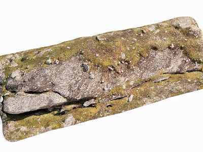 Natural Stone Wood Combination With Moss Covered Rustic Texture And Weathered Surface 3d model
