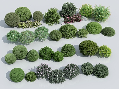 Modern shrub bush ball 3d model