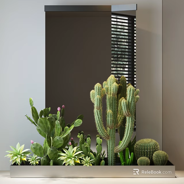 Indoor Mixed Cactus And Succulent Arrangement With Columnar Round Cacti And Pink Flower Plants 3d model 