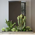Indoor Mixed Cactus And Succulent Arrangement With Columnar Round Cacti And Pink Flower Plants