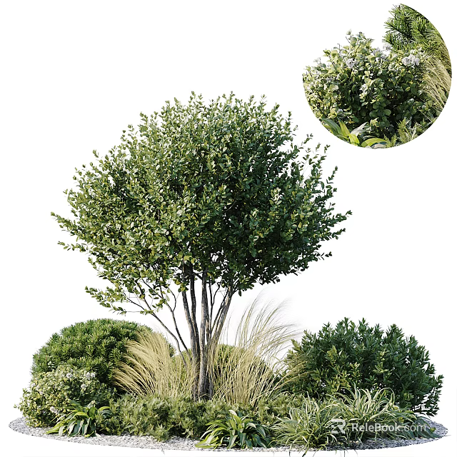 Vibrant Green Shrubs With Lush Foliage And Rounded Canopy In Garden Landscape Design 3d model 