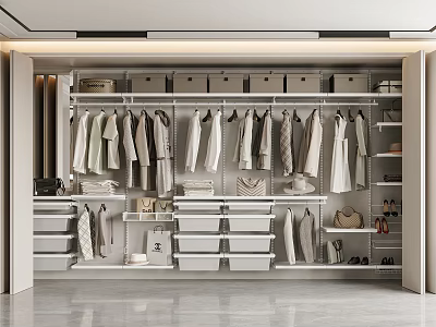 Modern Wardrobe Interior Design With Hanging Clothes Drawers Shelves And Storage Boxes 3d model