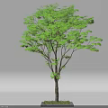 Lush Green Arbor With Dense Foliage Straight Trunk And Grass Base On White Background