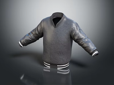 Gray Casual Baseball Jacket With Leather Sleeves And Ribbed Collar Cuffs Hem 3d model