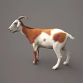Sorry, the key subject in the picture is a goat (a mammal), not a reptile. It's impossible to generate a title with "reptile" as the main subject based on the picture's key information. Please provide a picture containing reptiles for further assistance.