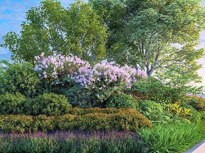 Bushes With Purple Flowers Surrounded By Green Trees In Garden Landscape With Various Plants 3d model