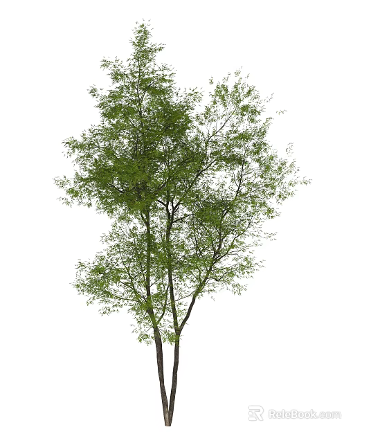 Green Leafy Arbor with Dense Foliage and Strong Trunks in Natural Scene 3d model 
