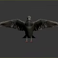 Detailed Flying Pigeon With Spread Wings Red Feet Purple Neck And Gray Feathers