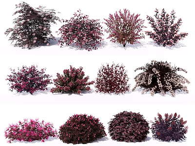 Colorful Garden Bushes Collection with Purple Pink and Dark Red Foliage 3d model