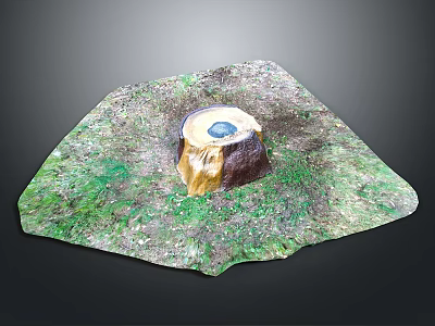 Tree Stump With Blue Circular Top Surrounded By Green Grass In Scenic 3d model