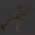 Three Dead Trees with Various Shapes on White Background with Reflections