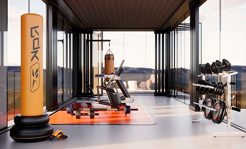 Modern Gym 3d model