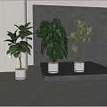 Lush Green Potted Plants with Monstera Rubber and Tropical Foliage in White Gold Rimmed Pots