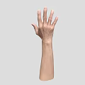Man's Extended Hand Palm Showing Skin Texture And Finger Structure