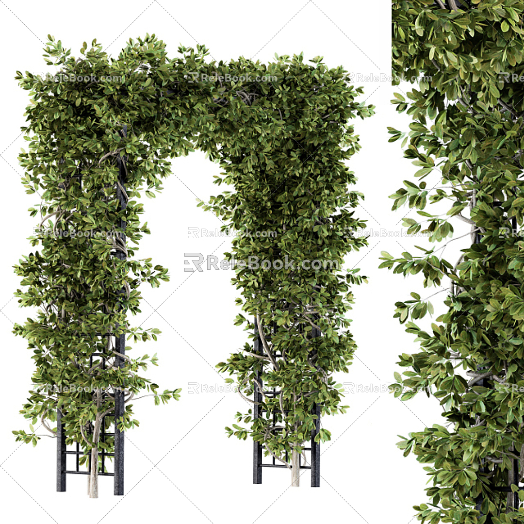 Modern Arch Vine Corridor 3d model