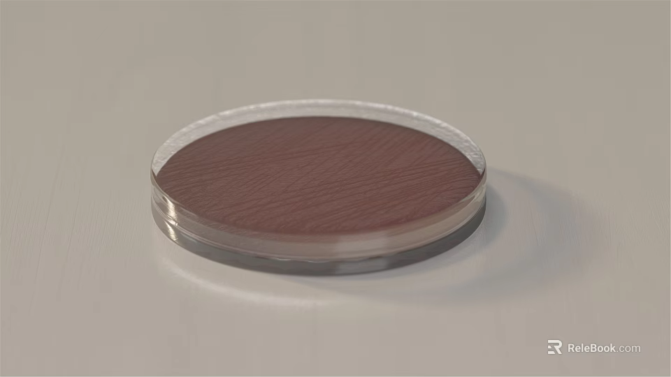 Round Flat Object With Transparent Edge And Brown Wooden Texture Surface 3d model