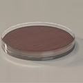 Round Flat Object With Transparent Edge And Brown Wooden Texture Surface 3d model