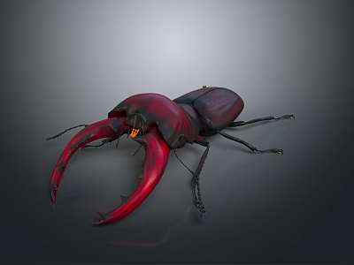 Dark Red And Black Stag Beetle With Large Shiny Red Mandibles 3d model
