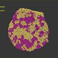 Bees Honeycomb Nest With Rounded Textured Structure On Dark Background